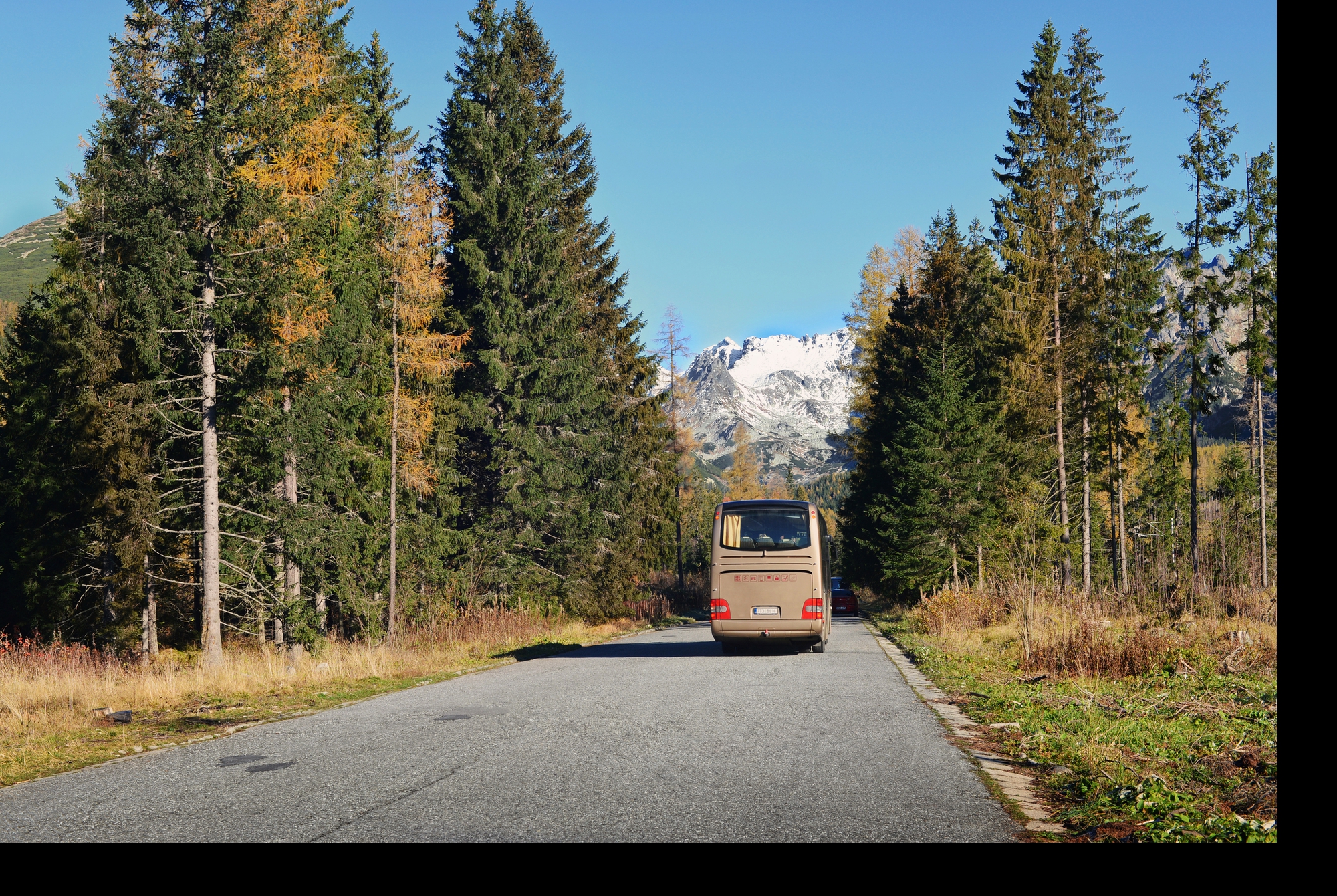 Mar y Valle Transporte